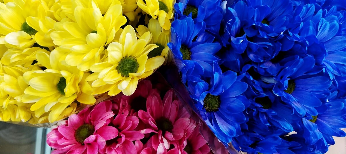 Купить цветы в Барановичах